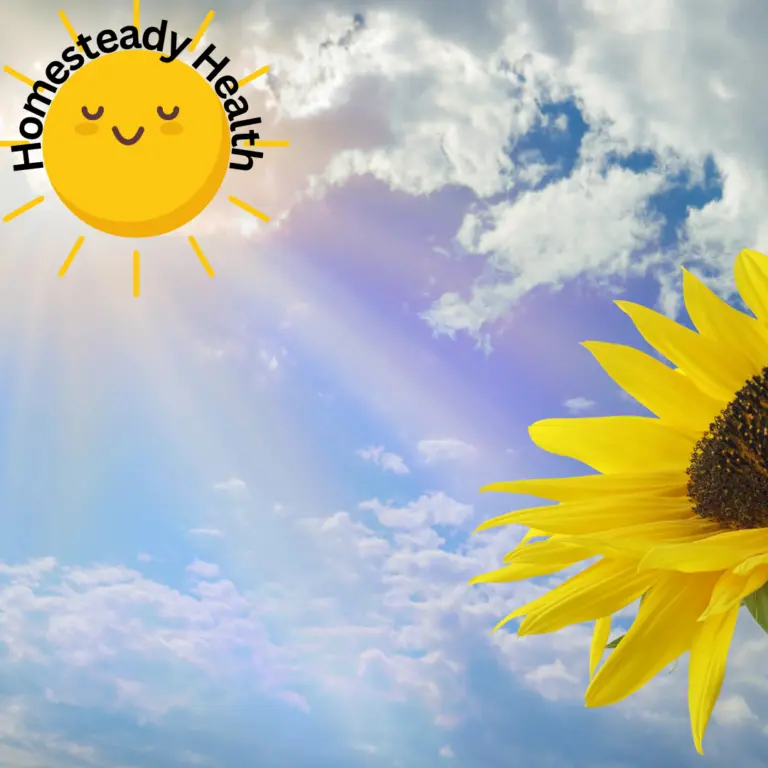 Bright sun and a sunflower against a blue sky